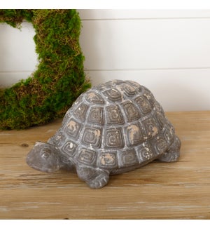 Terracotta Turtle