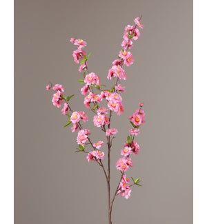 Branch - Pink Cherry Blossom