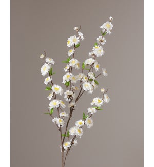 Branch - White Cherry Blossom