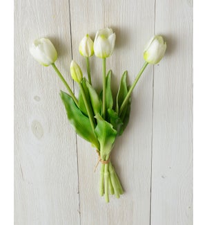 Tulip Bunch, White