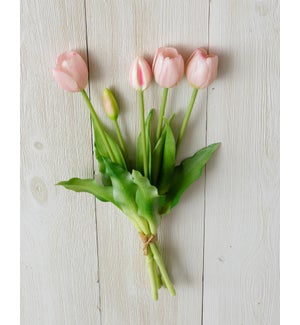 Bunch - Tulip, Light Pink