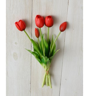 Tulip Bunch, Red