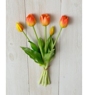 Bunch - Real Feel Tulip, Tangerine