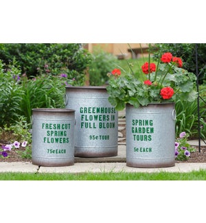 Buckets - Greenhouse Flowers