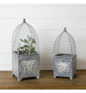 Butterfly Planters with Wire Cloche