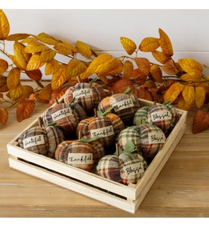 Crate of 9 Assorted Fall Plaid Pumpkins