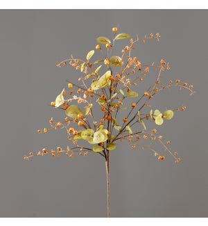 Branch - Mini Pumpkins, Eucalyptus, Berry Clusters