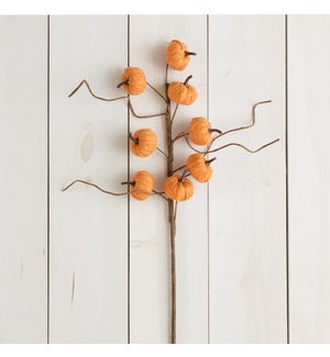 Branch Of Mini Pumpkins