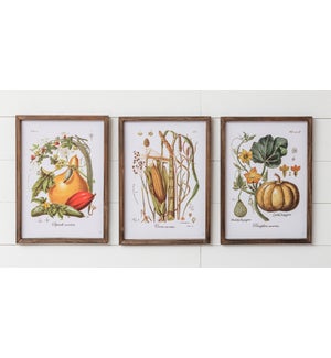 Framed Prints - Fall Botanicals
