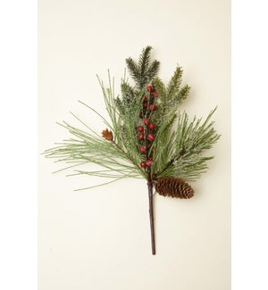 Pick - Frosted Evergreen Berries And Cones