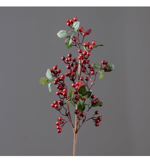 Branch - Cranberries