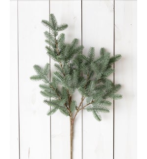 Branch - Blue Spruce