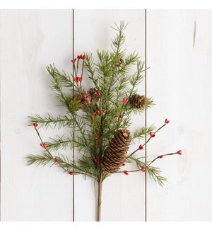 Pick - Evergreens With Mini Cones And Berries