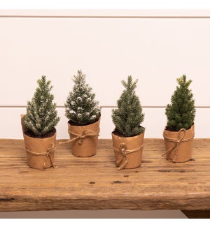 Mini Pine Trees Wrapped in Paper