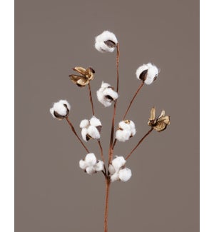 Pick - Twig Base With Cotton Pods
