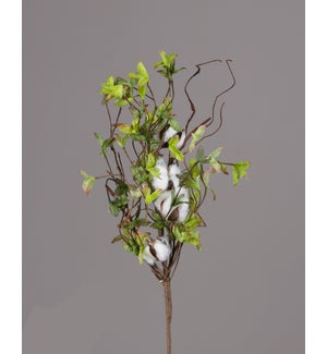 Bush - Cotton Miniature Green Leaves