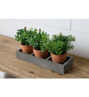 Assorted Herbs In Wooden Tray