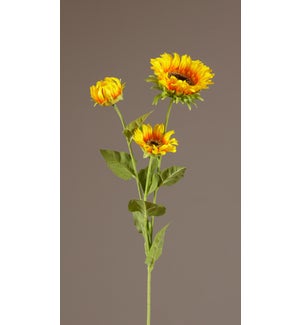 Stem - Yellow And Orange Sunflowers