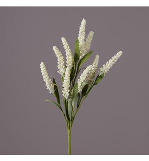 Pick - White Spike Flowers, Foliage