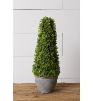Topiary - Cement Pot