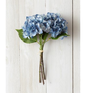 Bunch - Hydrangea, Blue