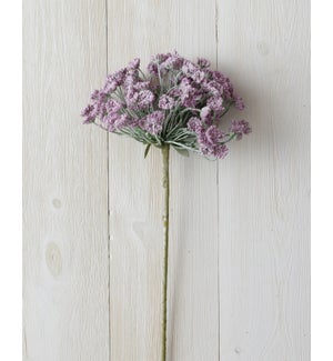 Branch - Allium, Lavender