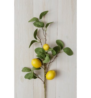 Branch - Lemon