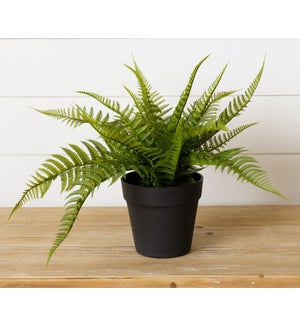 Potted Faux Fern