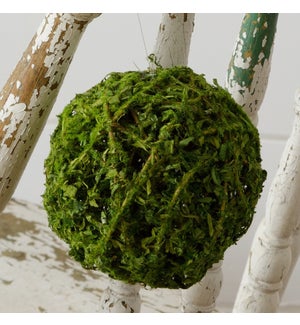 Moss Ball With Hang String