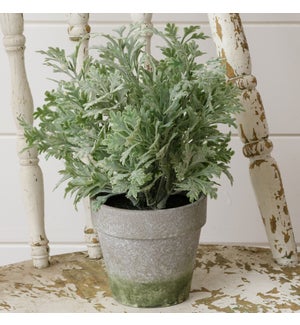 Faux Potted Dusty Miller