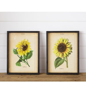 Framed Prints - Shadowbox Sunflowers