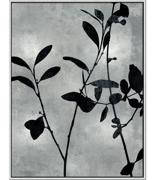 NATURE SILHOUETTE SILVER III framed