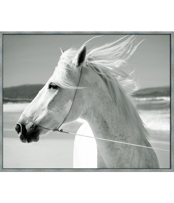 WHITE HORSE & SEA WINDS (framed)