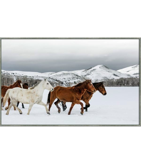 WILD & DOMESTICATED HORSES I (framed)
