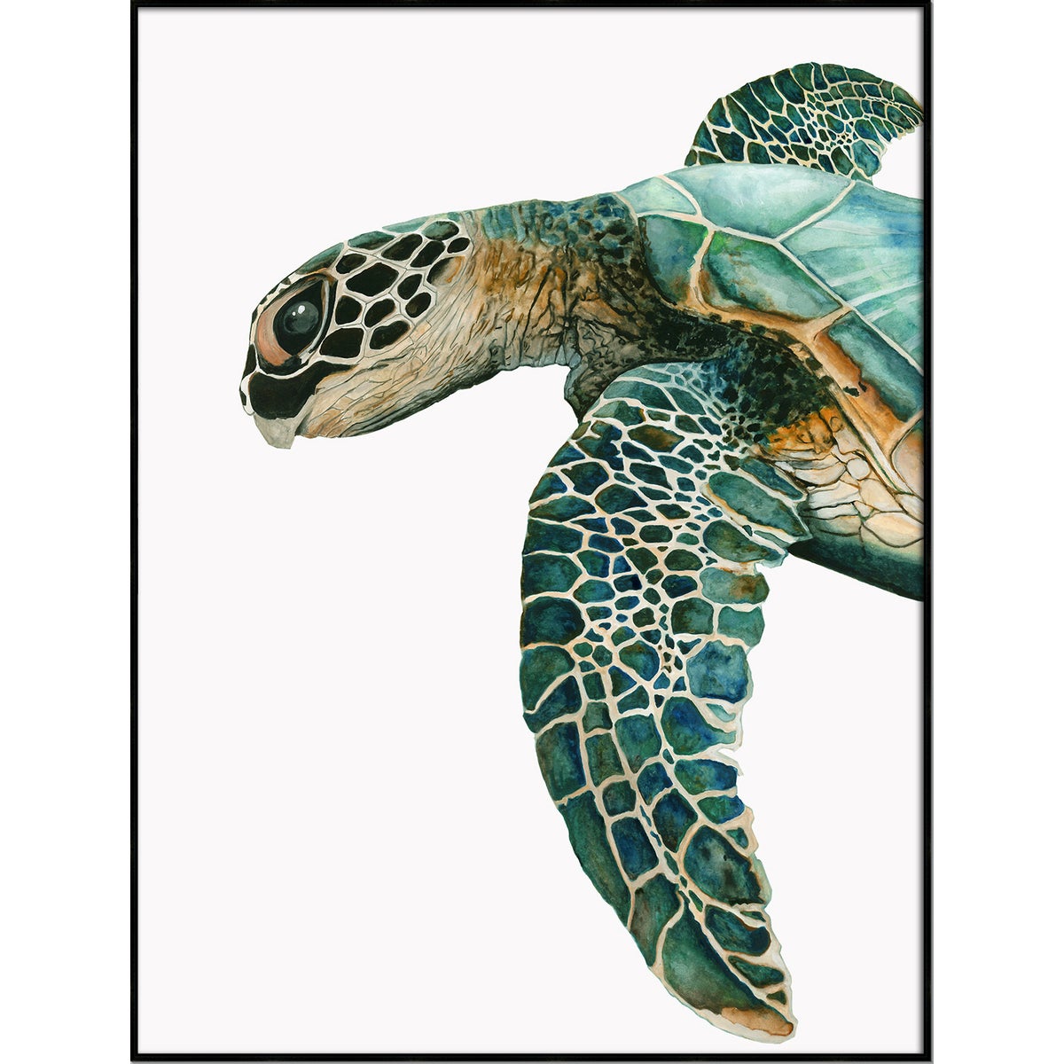 GREAT SEA TURTLE II