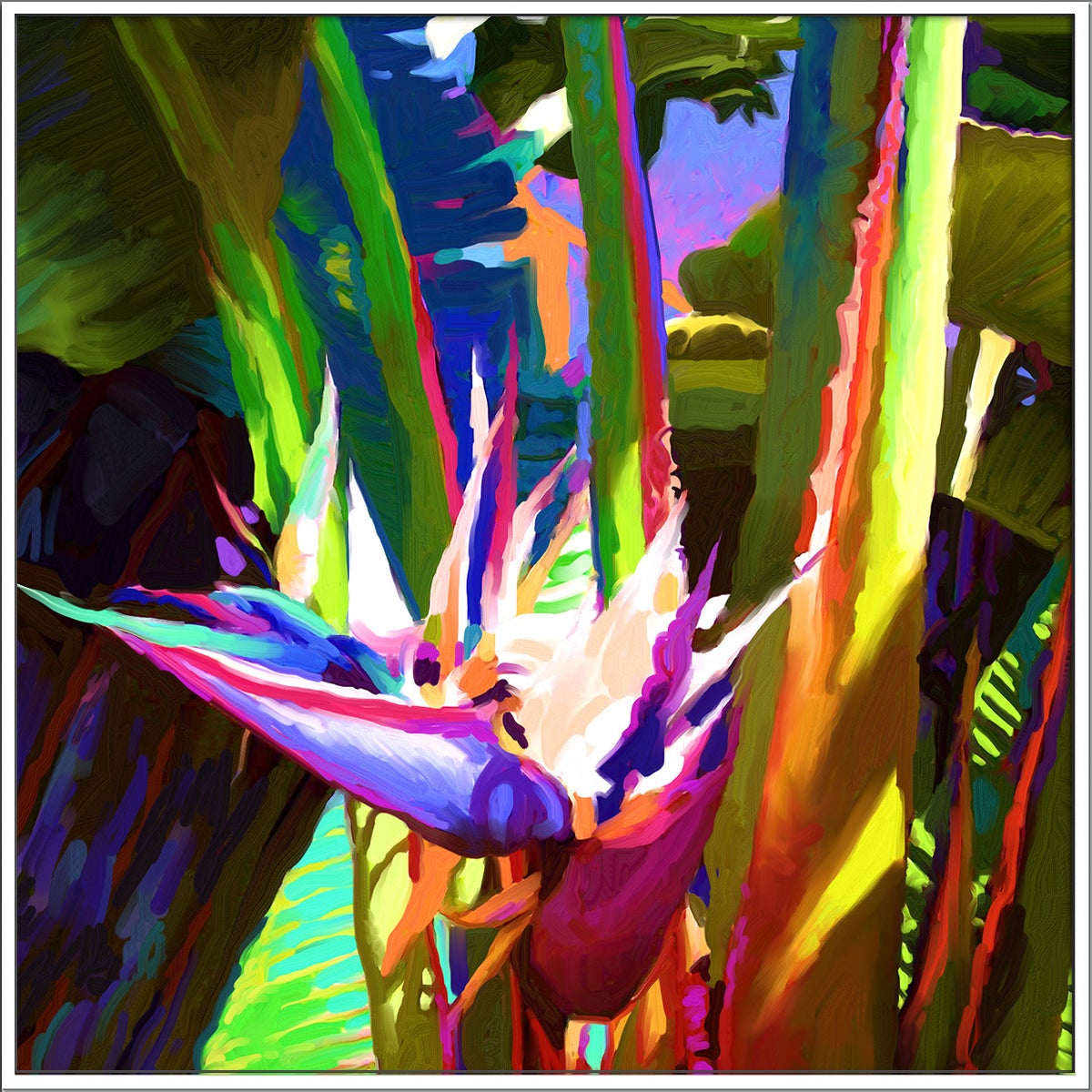 PALM IMPRESSION I framed