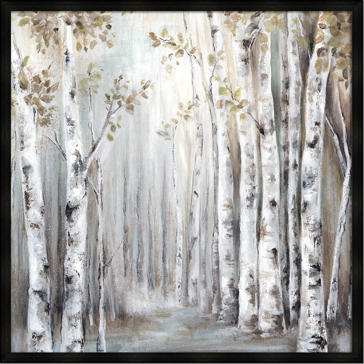 SUNSET BIRCH FOREST III framed