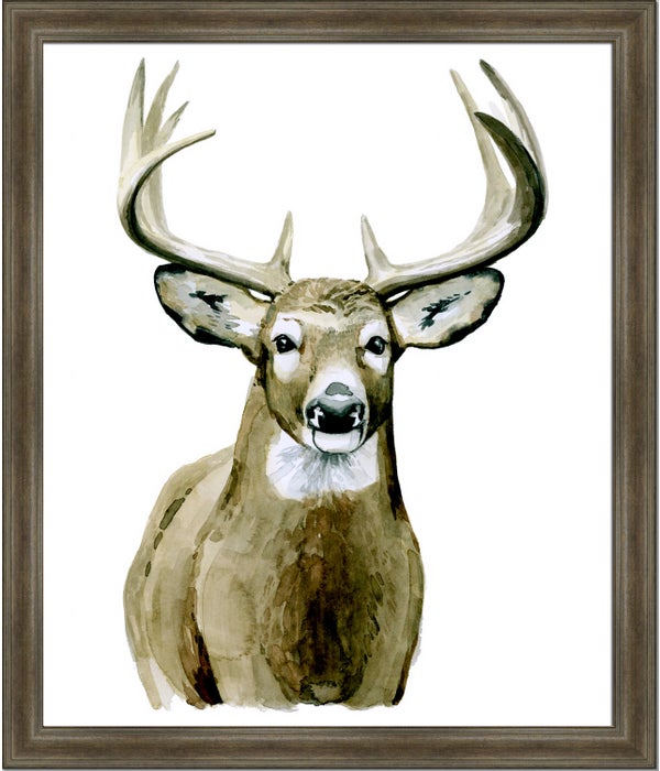 HANDSOME WHITETAIL II