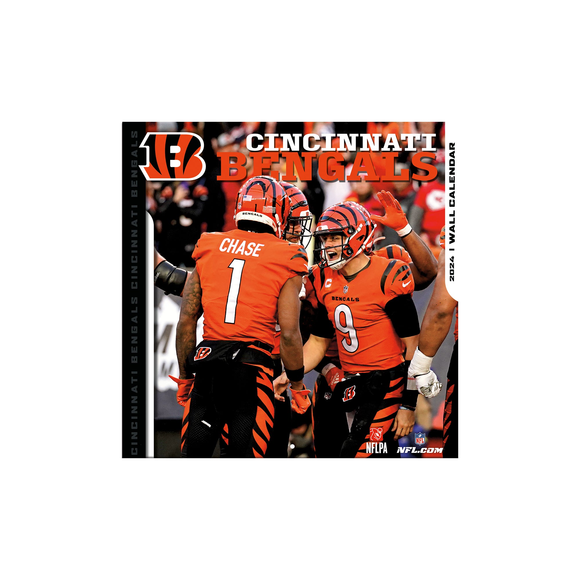 Cincinnati Bengals 2024 Wall Calendar 