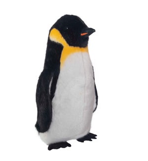 Emperor Penguin 22 in