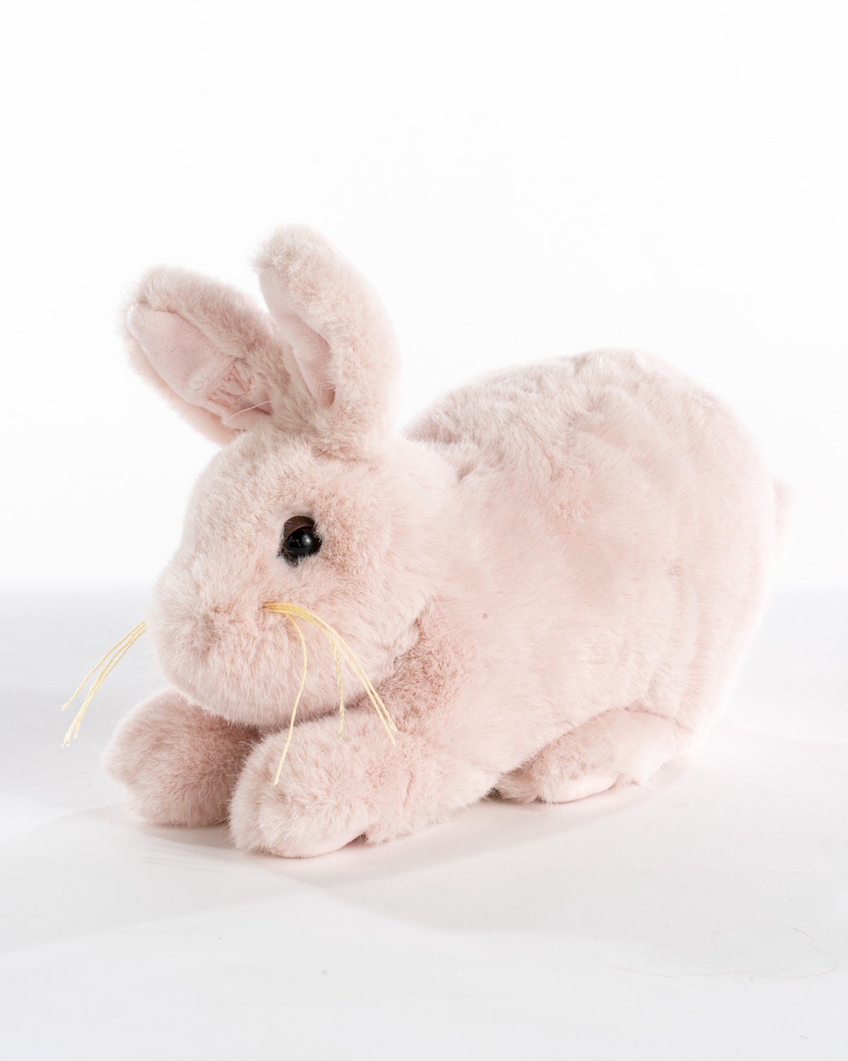 roadkill cat plush