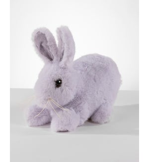 Baby Bunny Lavender