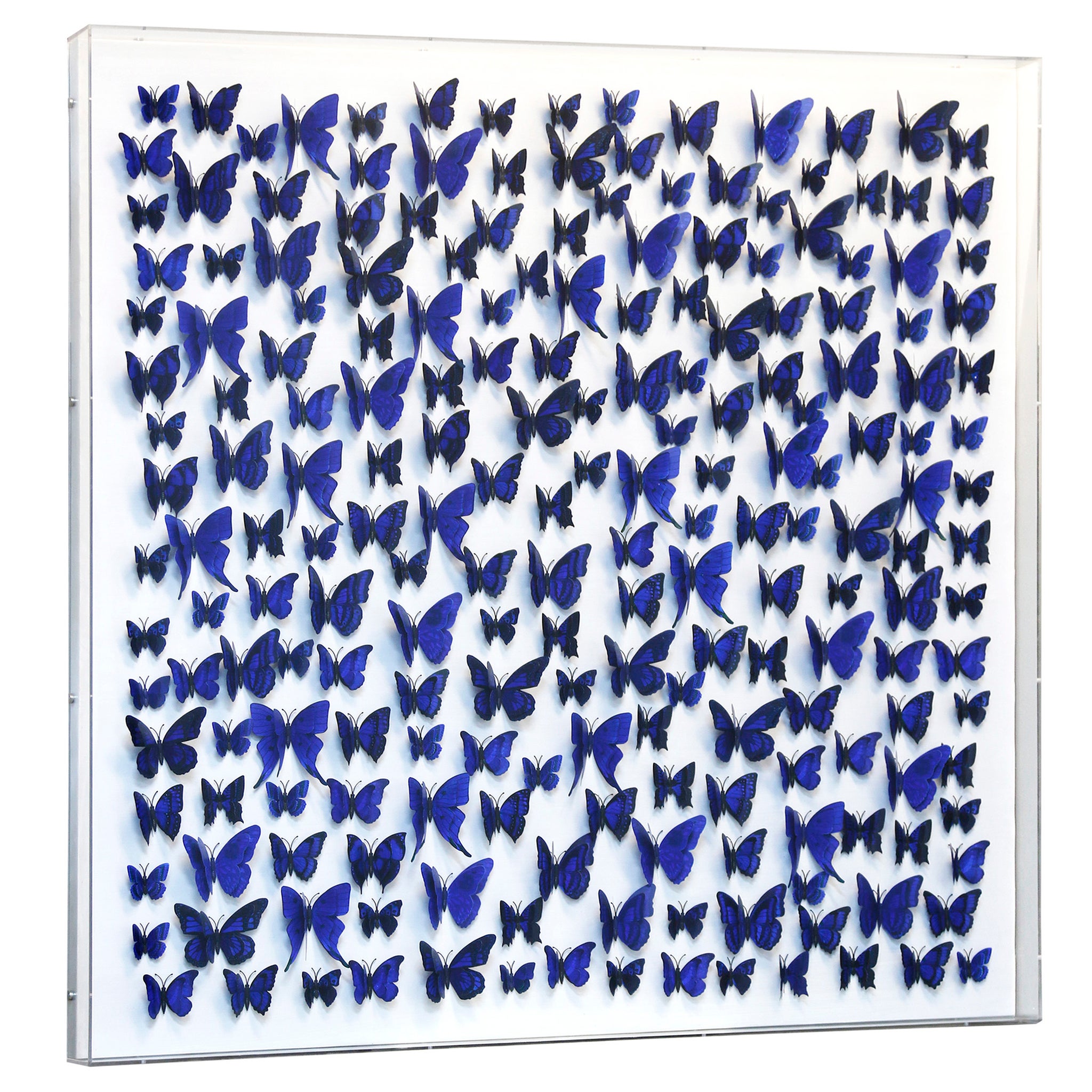 PAPILLION IV FRAMED ART | PVC Butterfly Art | 3 inch Acrylic
