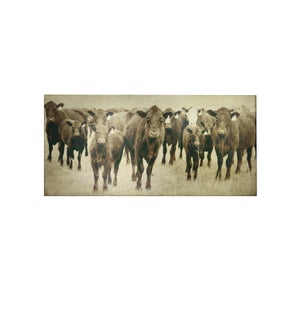 BOVINE CANVAS ART | Cow Photography with Gold Leaf Foil | 1.5 inch Gallery Wrap