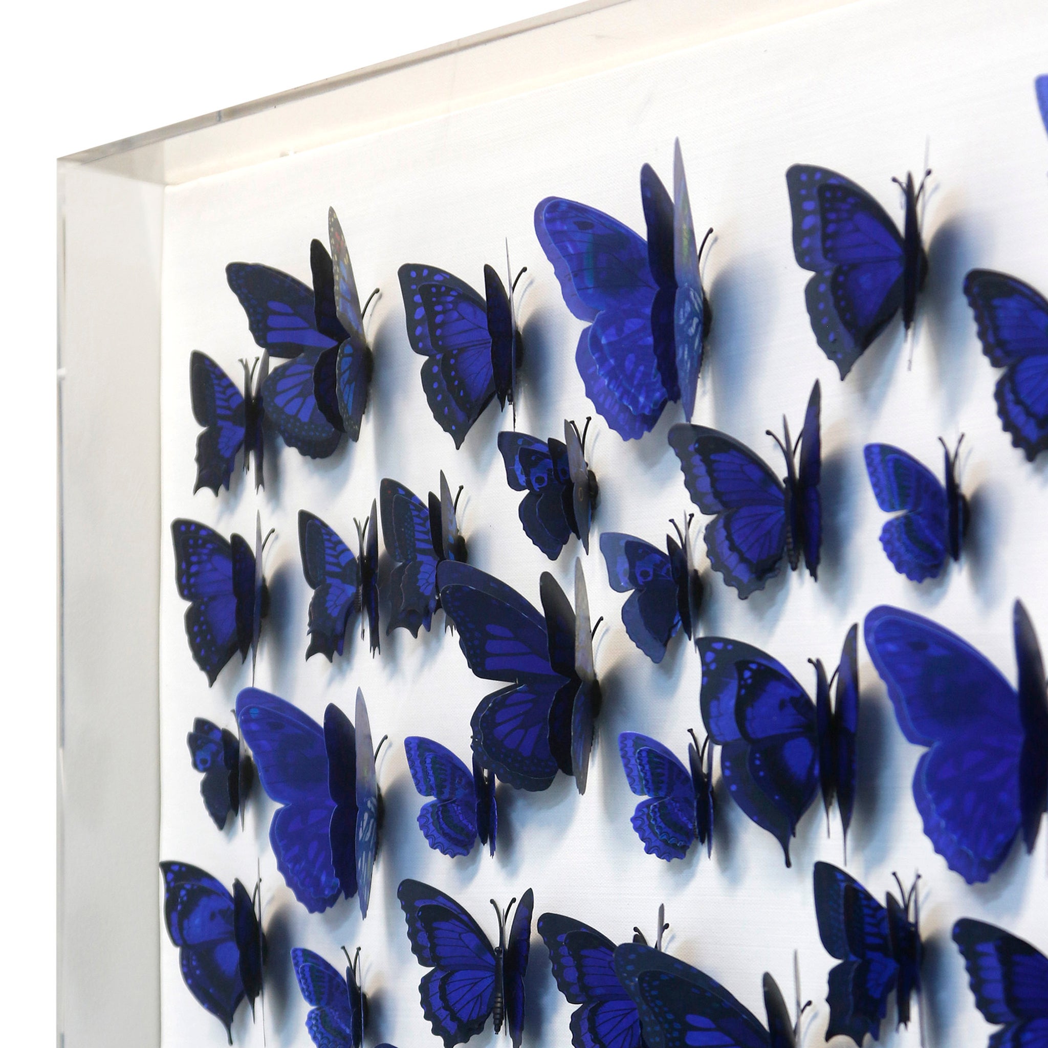 PAPILLION IV FRAMED ART | PVC Butterfly Art | 3 inch Acrylic