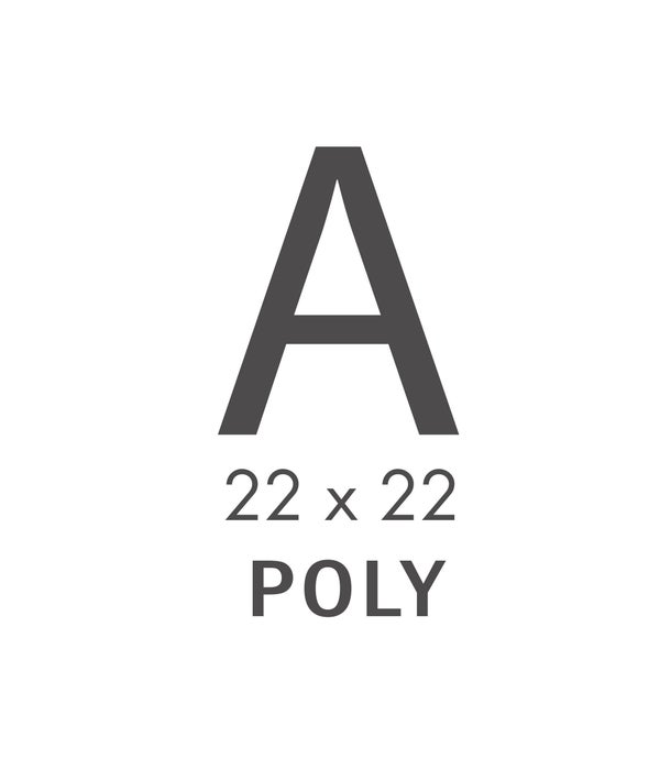 A CATEGORY 22X22 PILLOW (Polyfil)