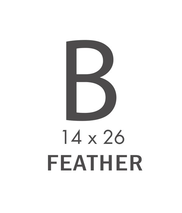 B  CAT - 14X26 PILLOW (Feather)