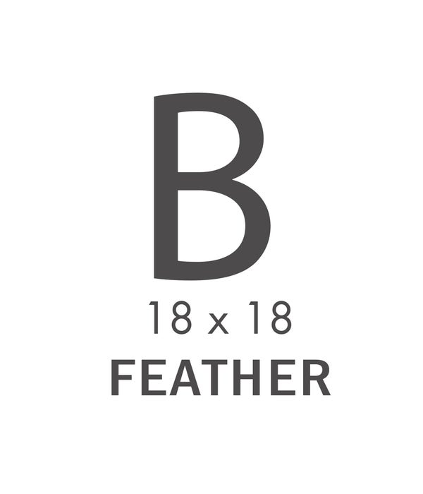 B  CAT - 18X18 PILLOW (Feather)