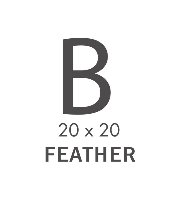 B  CAT - 20X20 PILLOW (Feather)