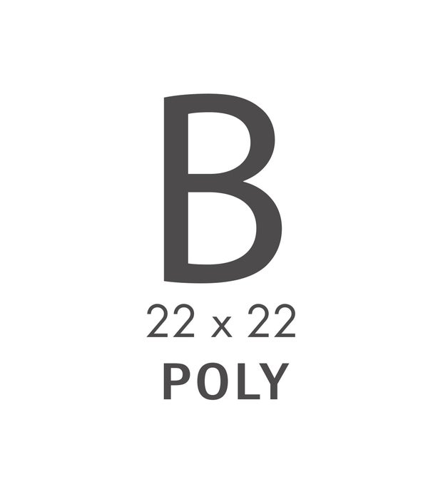 B CATEGORY 22X22 PILLOW (Polyfil)